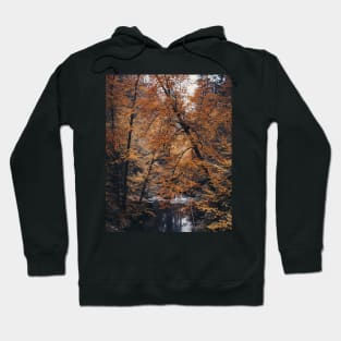 Bohemian Switzerland: Scenic Landscape Photography #1 Hoodie